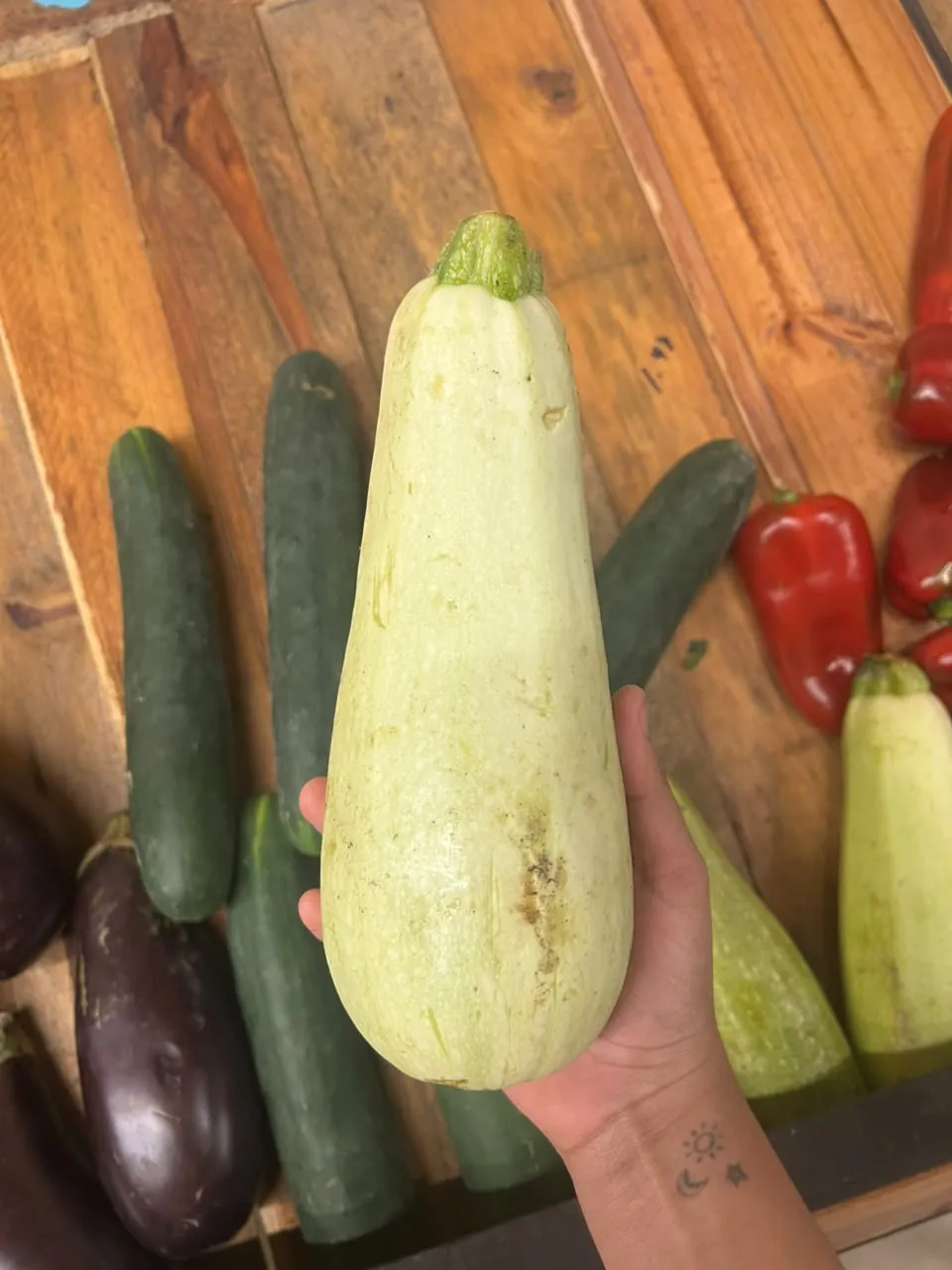 Calabacin