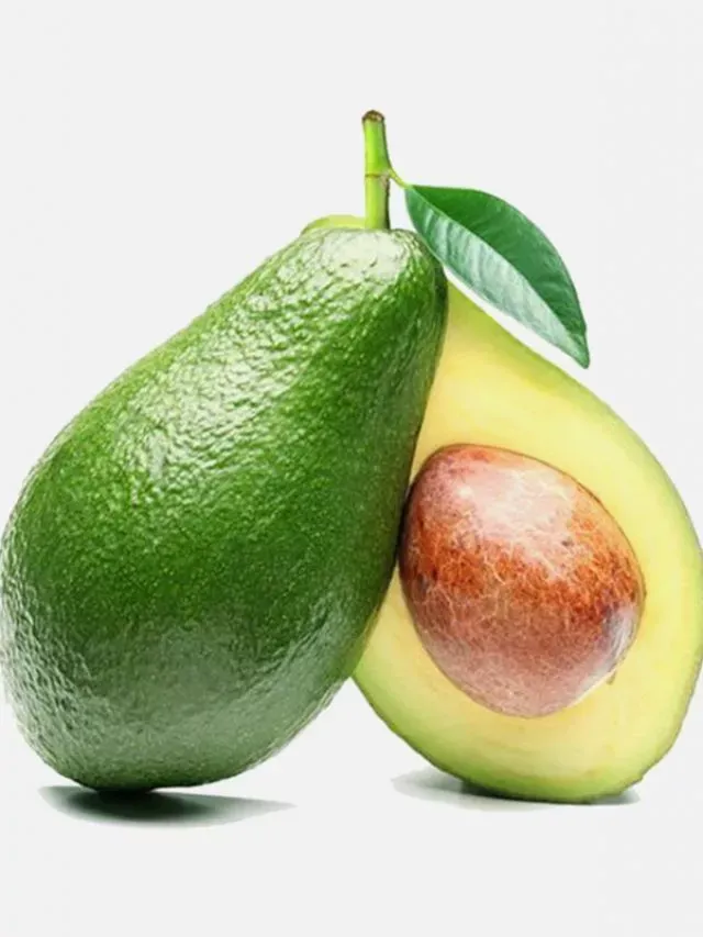 AGUACATE