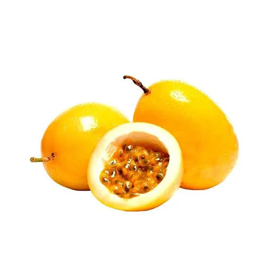 PARCHITA